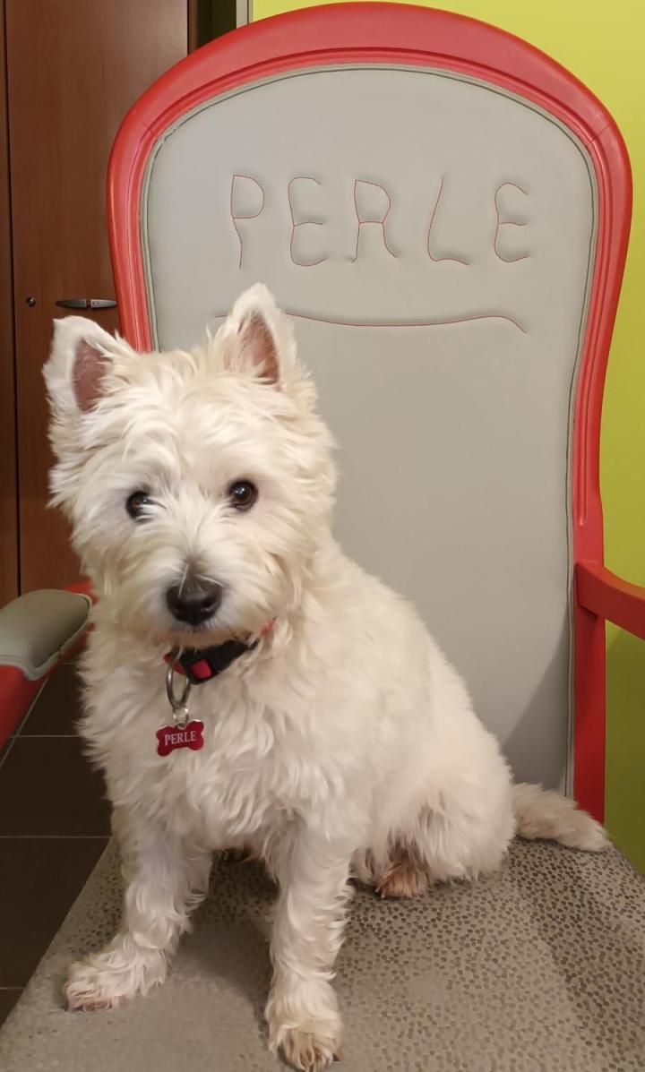 Travaux de tapisserie d’ameublement Lyon